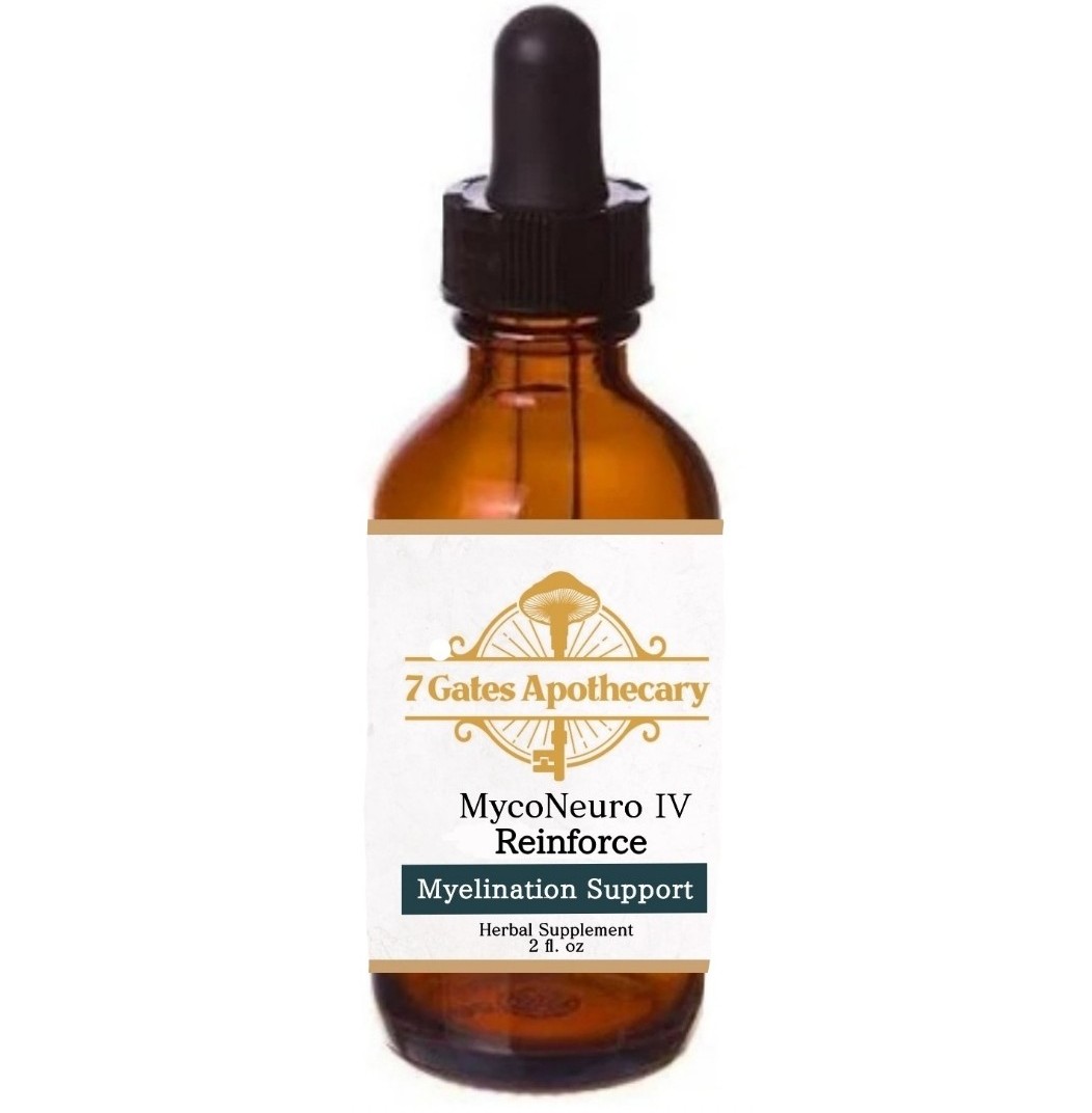 MycoNeuro IV - Reinforce: Myelination Support